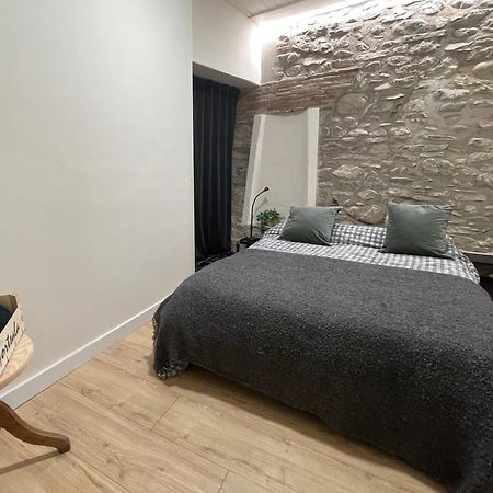 Apartamento Colgante Al Rio Con Vistas Al Puente Camprodon Luaran gambar
