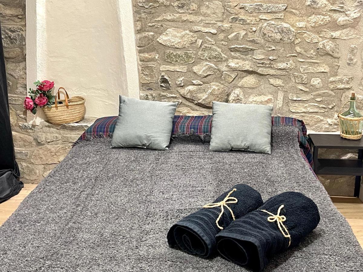 Apartamento Colgante Al Rio Con Vistas Al Puente Camprodon Luaran gambar