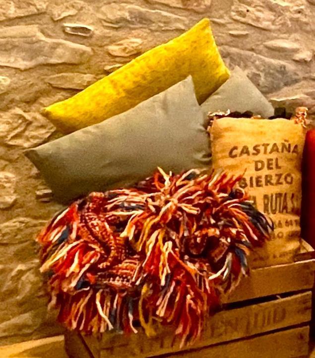Apartamento Colgante Al Rio Con Vistas Al Puente Camprodon Luaran gambar